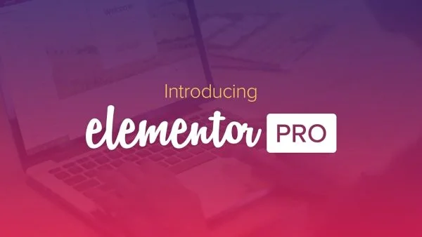 Elementor pro plugin